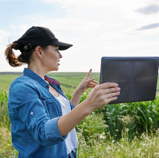 Consultation ALCLA Native Plants