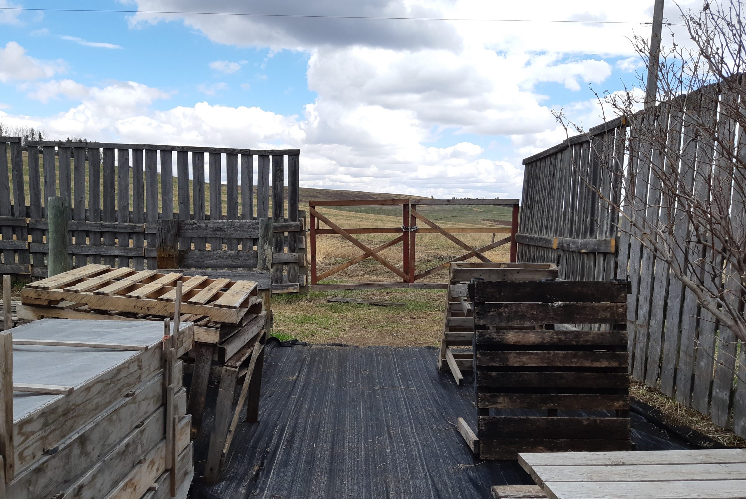 Bearspaw Nursery Fencing Update